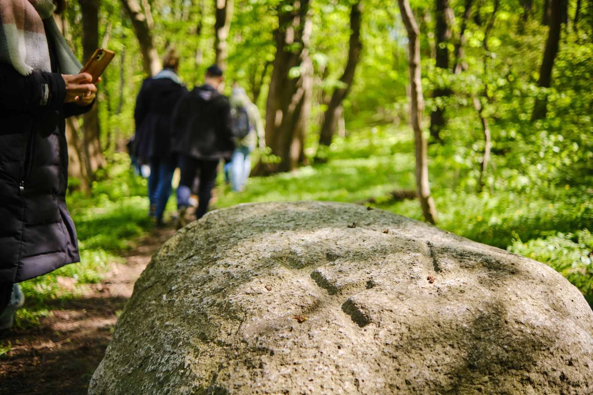 Biskupia Góra fortyfikacje